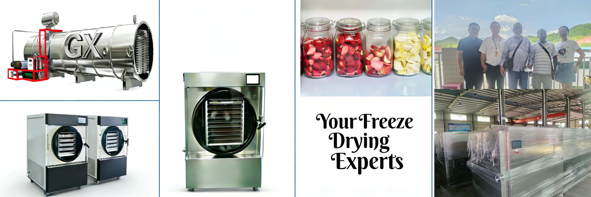 গুণ হোম ফ্রিজ ড্রায়ার কারখানা