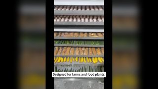 খাবারের জন্য 100 কেজি বাণিজ্যিক ফ্রিজ ড্রায়ার