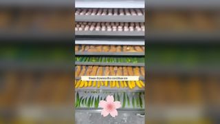 ব্যবসার জন্য 100 কেজি ফুড ফ্রিজ ড্রায়ার