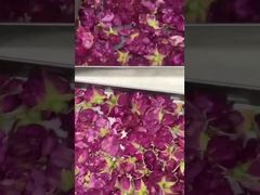 হোম ফ্রিজ-ড্রাইংঃ সহজেই ব্যবহারযোগ্য, শক্তি-দক্ষ, এবং আপনার রান্নাঘরে ফিট করে