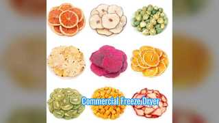 ইন্ডাস্ট্রিয়াল ফ্রিজ ড্রায়ার 100KG বাণিজ্যিক স্কেল