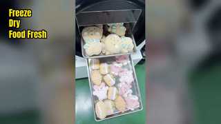 হোম ফ্রিজ ড্রায়ার খাদ্য সতেজতা সংরক্ষণ