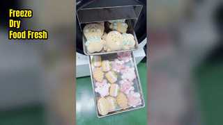 খাদ্য সংরক্ষণের জন্য হোম ফ্রিজ ড্রায়ার