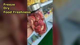 হোম ফ্রিজ ড্রায়ার সংরক্ষণ খাদ্য সর্বাধিক পুষ্টি