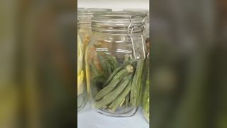 হোম ফ্রিজ ড্রায়ার সংরক্ষণ খাদ্য 25 বছর