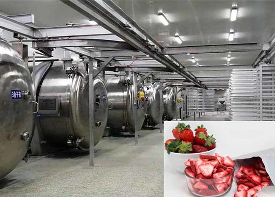 100 কেজি খাদ্য ভ্যাকুয়াম হিমায়ন শুকানোর যন্ত্রপাতি শিল্প হিমায়ন শুকানোর যন্ত্রপাতি