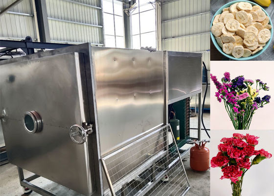 স্বয়ংক্রিয় অপারেশন মোড সহ কাস্টম সবজি ফ্রিজ ড্রায়ার