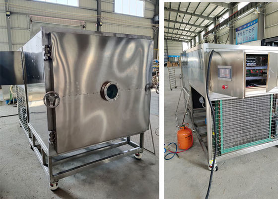 50kg100Kg ভ্যাকুয়াম ফুড লাইফিলাইজার ফ্রিজ ড্রায়ার মেশিন
