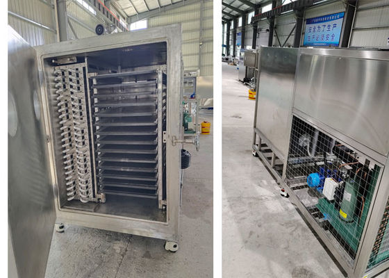 50 কেজি 100 কেজি 200 কেজি ক্ষমতা Lyophilizer ফ্রিজ ড্রায়ার ভ্যাকুয়াম মেশিন