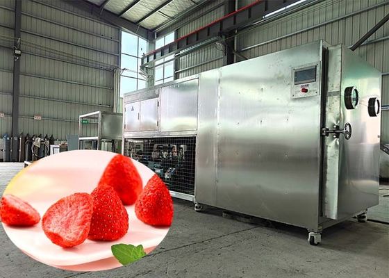 ইন্ডাস্ট্রিয়াল পিএলসি কন্ট্রোল লায়োফিলাইজার ড্রায়ার ফার্মাসিউটিক্যাল শিল্পের জন্য