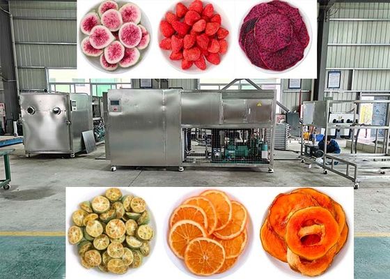 OEM / ODM ফুড ভ্যাকুয়াম ফ্রিজ ড্রায়ার অভিজ্ঞতা অতুলনীয় ফ্রিজ ড্রাইং পারফরম্যান্স