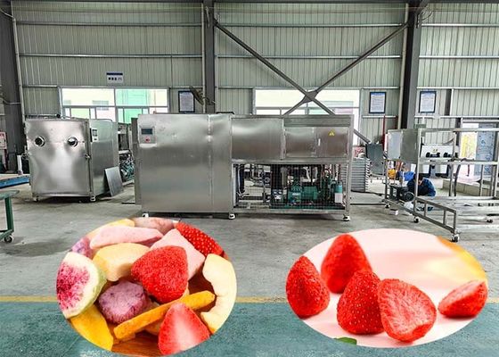 100 কেজি প্রতি ব্যাচ ইন্ডাস্ট্রিয়াল ফ্রিজ-ড্রাইং মেশিন 60 ডিবি সহ