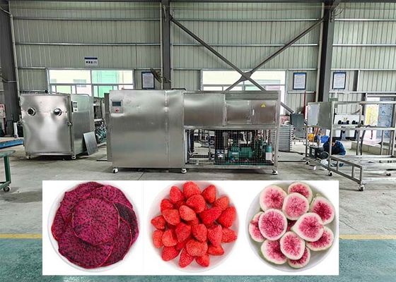 38KW বৈদ্যুতিক গরম ডিফ্রোস্টিং Lyophilizer ফ্রিজ শুকানোর মেশিন
