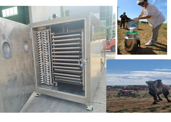 বিটজার রেফ্রিজারেশন সিস্টেমের সাথে কমপ্যাক্ট ডিজাইন ফ্রিজ শুকনো ফল মেশিন