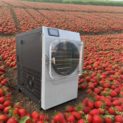 বাণিজ্যিক লাইওফিলাইজার (Commercial Lyophilizer) - ৩০৪ স্টেইনলেস স্টিল এবং বোশ পাম্প সহ - উচ্চ-দক্ষতা সম্পন্ন ফ্রিজ ড্রায়ার