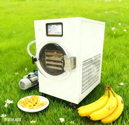সহজ হোম ফ্রিজ ড্রায়ার আপনার বাগানের ফসল সংরক্ষণ করুন সহজ ব্যবহার, বাগানীদের জন্য নিখুঁত