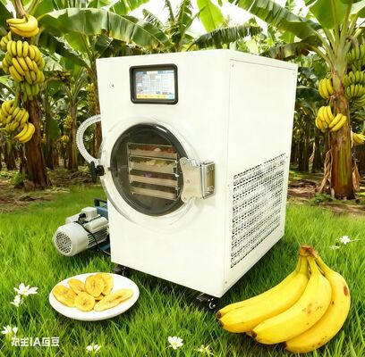 স্বাস্থ্যকর স্ন্যাকস সহজেই তৈরি করা হয়েছে। ফ্রিজ-শুকনো ফল, দই এবং আরও অনেক কিছু ফসলের অধিকার সহ। কোন সংযোজন নেই, সমস্ত নিয়ন্ত্রণ