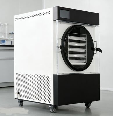 কেন দোকান থেকে কেনা? আমাদের হোম ফ্রিজ ড্রায়ার আমাদের পারিবারিক রেসিপি, মৌসুমী ফলন এবং বাল্ক মাংস সাশ্রয়ী মূল্যে সংরক্ষণ করতে দেয় — স্বাদ সবসময় ঘরে তৈরি।