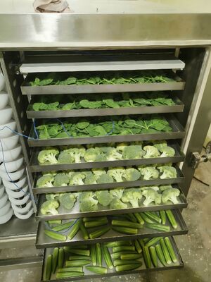 ইলেকট্রিক গরম ইন্ডাস্ট্রিয়াল ফ্রিজ ড্রায়ার অফারিং চেম্বার আকার 12700x2600x3300mm এবং শুকানোর সময় 20 থেকে 24 ঘন্টা শিল্পের জন্য আদর্শ