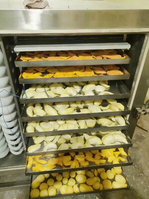 বিটজার রেফ্রিজারেশন ইউনিট ফ্রিজ ড্রায়ার নামমাত্র শক্তি 200KW ফার্মাসিউটিক্যাল খাদ্য ও রাসায়নিক শিল্পের জন্য ফ্রিজ শুকানোর সরঞ্জাম