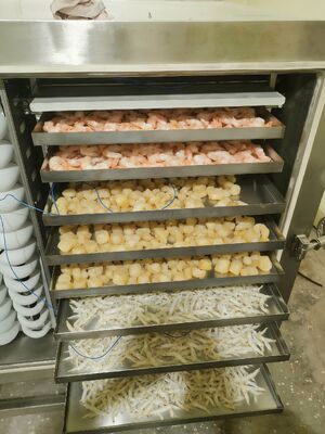 ফার্মাসিউটিক্যাল খাদ্য এবং রাসায়নিক পণ্য সংরক্ষণের জন্য আদর্শ 1000kg ব্যাচের ক্ষমতা সহ স্বয়ংক্রিয় শিল্প ফ্রিজ-ড্রায়ার