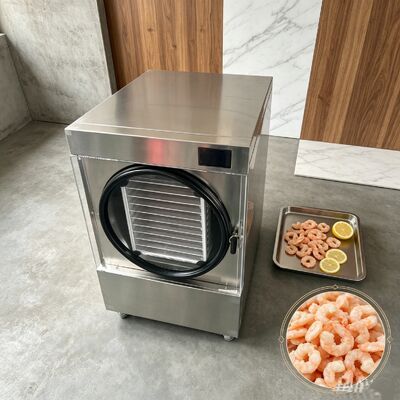 Electric Heating Home Freeze Dryer Including Two stage Baosi Vacuum Pump 215kg Capacity Ensuring Freeze Drying and Product Maintenance